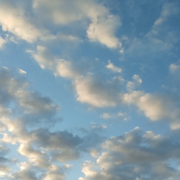 Meet your Posher, Ann - Picture 1 of 1